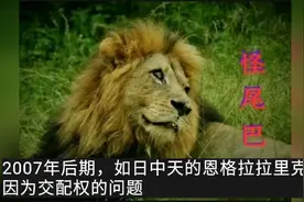 坏男孩联盟，分裂的始末经过视频封面