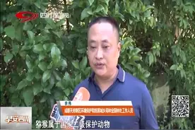 “特殊客人”到家来！小猴子不请自来任性抓人，吃鸡谁来管？视频封面