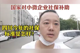 个人单买养老保险9796，现在国家对小微企业社保补贴要交多少？视频封面