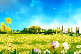 蓝蓝的天白云飘飘鲜花盛开蝴蝶飞舞完美搭配很漂亮的动态背景素材