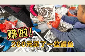 实拍山东日照小码头，满载而归的渔船在码头卸货，海鲜真是便宜！