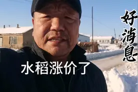 黑龙江水稻涨价了，中粮收购每吨涨了200多元，种地农民的福音视频封面