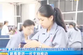 山西省工信厅：助小微工业企业上规升级，壮大工业经济实力视频封面