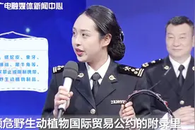 黄金时间｜归国时这些礼物都得扔？海关教你别花冤枉钱视频封面