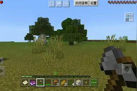 我的世界:
不知道为什么没有声音了