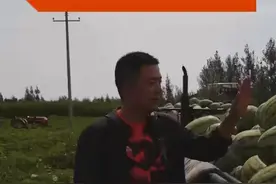 内蒙古巴彦淖尔市锦魁西瓜视频封面