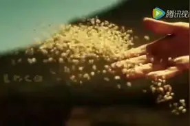 无人工厂，富士康自动化生产线视频封面