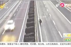菏泽一老人失联急坏家人，却被发现高速被撞身亡，警方：嫌犯还在逃视频封面