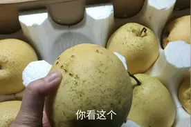 拼多多为留住用户，种树免费领水果，还不要邮费，是不是很划算视频封面