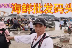 渔民出海捕鱼归来到码头，几十种的海产品批发，新鲜又便宜视频封面