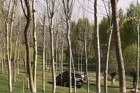 谁给的特权？榆林河滨公园就连电动自行车都不，竟然让车开进去了视频封面