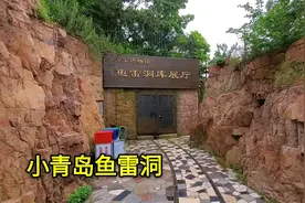 青岛有个小青岛，当年日本人建设的军火库，运送鱼雷的铁轨还在视频封面