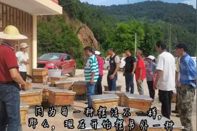 今天学习蜂箱的摆放，根据各种地形摆放方法，你知道几种？视频封面