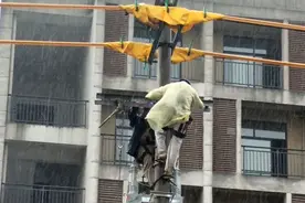 公司维修总电线中午连班