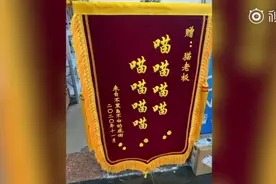 史上最萌锦旗：“喵喵喵喵，喵喵喵喵”视频封面