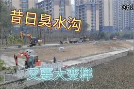 蚌埠市内的这个昔日臭水沟，推土机上阵，又要改造大变样？视频封面