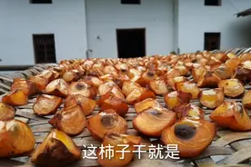 农村的柿子吃不完，做成柿子干当零食，制作过程超简单