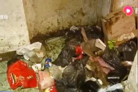 25岁“宅男”不倒垃圾，天气炎热恶臭难闻，邻居们苦不堪言视频封面