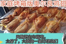 家庭版烤箱烤奥尔良鸡翅根，太香了只能躲车里吃，狗狗盯着我好怕视频封面