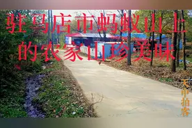 驻马店市蚂蚁山上的农家山珍美味