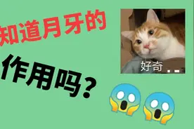 这样做可以让指甲上的月牙快速上出来，快来试试👇