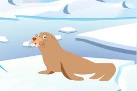 海狮和海豹有什么区别？