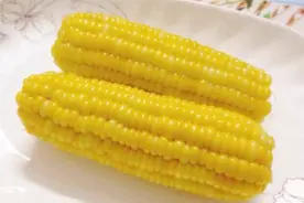 宝宝吃玉米好处原来这么多！宝宝多大可以吃玉米？怎么吃最好？视频封面