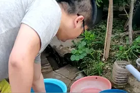 青岛西海岸新区大营村拆迁，回老家看老宅。中国人民智慧：压井。视频封面