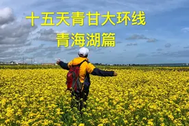 北京老刘带你游今年最热门的青甘大环线，十五天行程美爆了视频封面