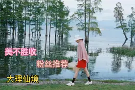大理洱海生态廊道，据说耗资90亿元全长46公里，带你现场感受一下视频封面
