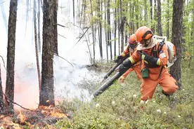 内蒙古大兴安岭林区一日发生三起森林火灾 消防紧急奔赴现场扑救视频封面