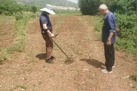 老表3000元买的探测仪，大山里探宝，能探出宝贝吗？视频封面