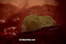 细菌、病毒是如何进入身体并进行攻击的？
人体的免疫系统是如何视频封面