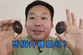 西梅熟啦！糖尿病人老王吃西梅升糖高不高？可以吃一些吗？视频封面