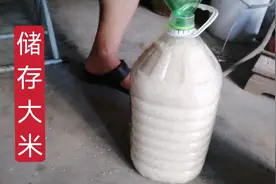 一袋大米50斤放在两个塑料桶里，一夏天不用担心招虫子，是个好法视频封面