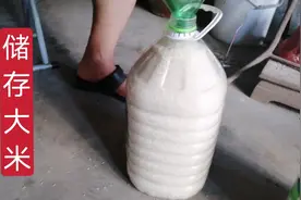 一袋大米50斤放在两个塑料桶里，一夏天不用担心招虫子，是个好法视频封面