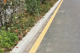 万开快速路视频封面