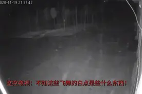 夜晚监控画面：不知这些飞舞的白点是些什么东西！视频封面