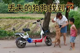丢失15天的狗找到了，当狗再次和主人重逢那刻，狗的举动让人感动