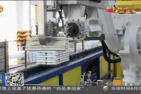 白银有色集团公司：守初心担使命 推动企业高质量发展视频封面