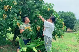 农村随处可见的土水果，城里人最爱吃，只卖2元一斤，你吃过吗视频封面