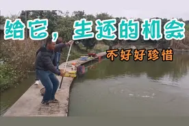 钓鱼人放弃了，它还不跑。重点：1.0主线，0.6子线博大物视频封面