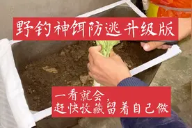 养的蚯蚓总是逃跑爬的满地都是？赶快试试这个方法，超简单！视频封面