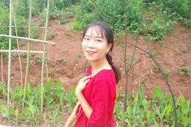 一首最美的来电铃声，男女都喜欢听，太醉人了