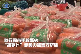 欺行霸市手段恶劣  “胡萝卜”恶势力被警方铲除视频封面