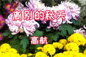 高航《离别的秋天》虽然，有一点难舍，但留在心中的，是永恒的爱