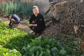 农家小菜园，拔一把菠菜做个咸粘粥，自给自足纯天然生活真惬意！视频封面