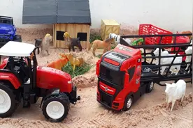 创意玩具 农场卡车奇趣救援运送小动物视频封面