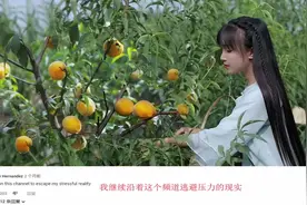 youtube李子柒，黄桃罐头，外国人表示你是天使还是秀儿视频封面
