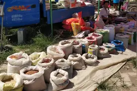 廊坊最大的集市，杨税务大集(原廊南第一集新址)！视频封面